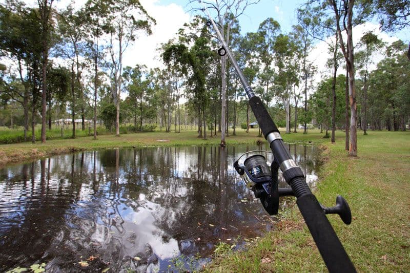 34 Davison Road, CAMP MOUNTAIN QLD 4520, Camp Mountain - Thumbnail 5