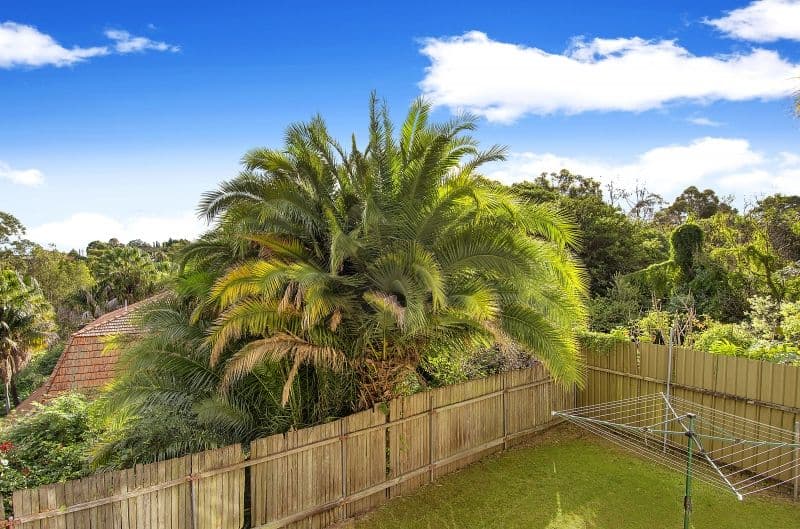 34 Punt Road, GLADESVILLE NSW 2111, Gladesville - Thumbnail 5