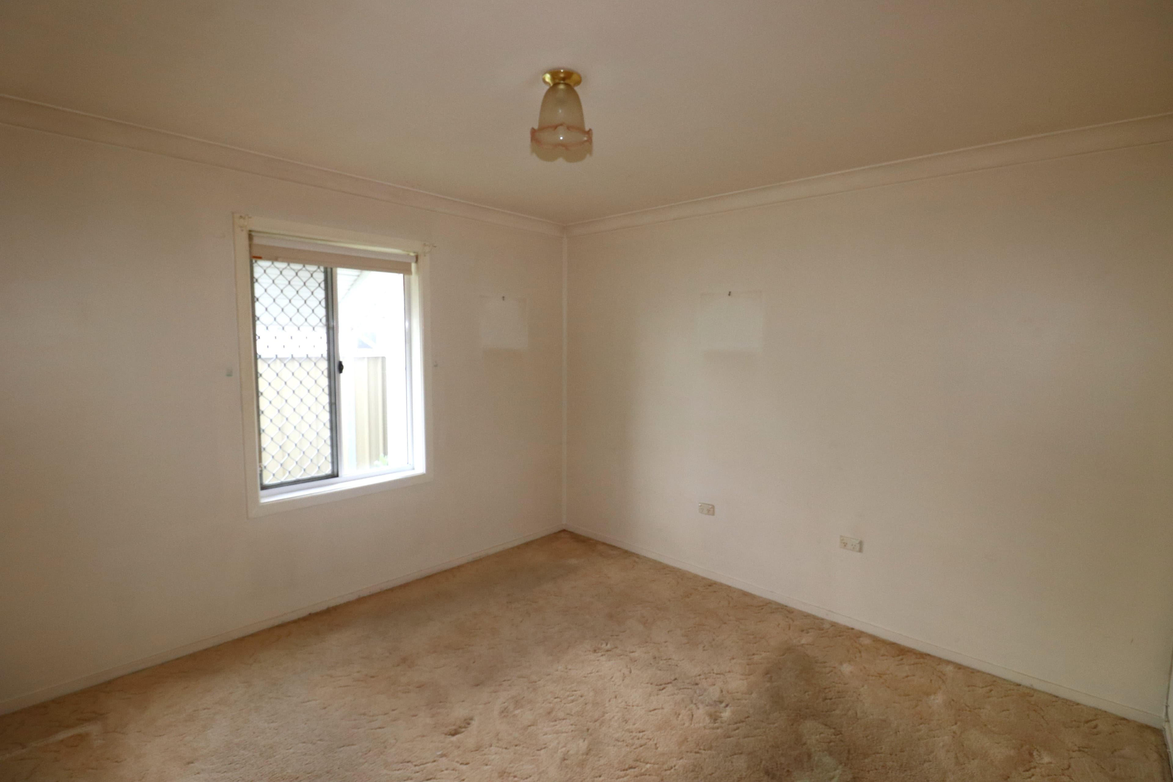 147 Herbert Street, Glen Innes NSW 2370, Glen Innes - Thumbnail 6