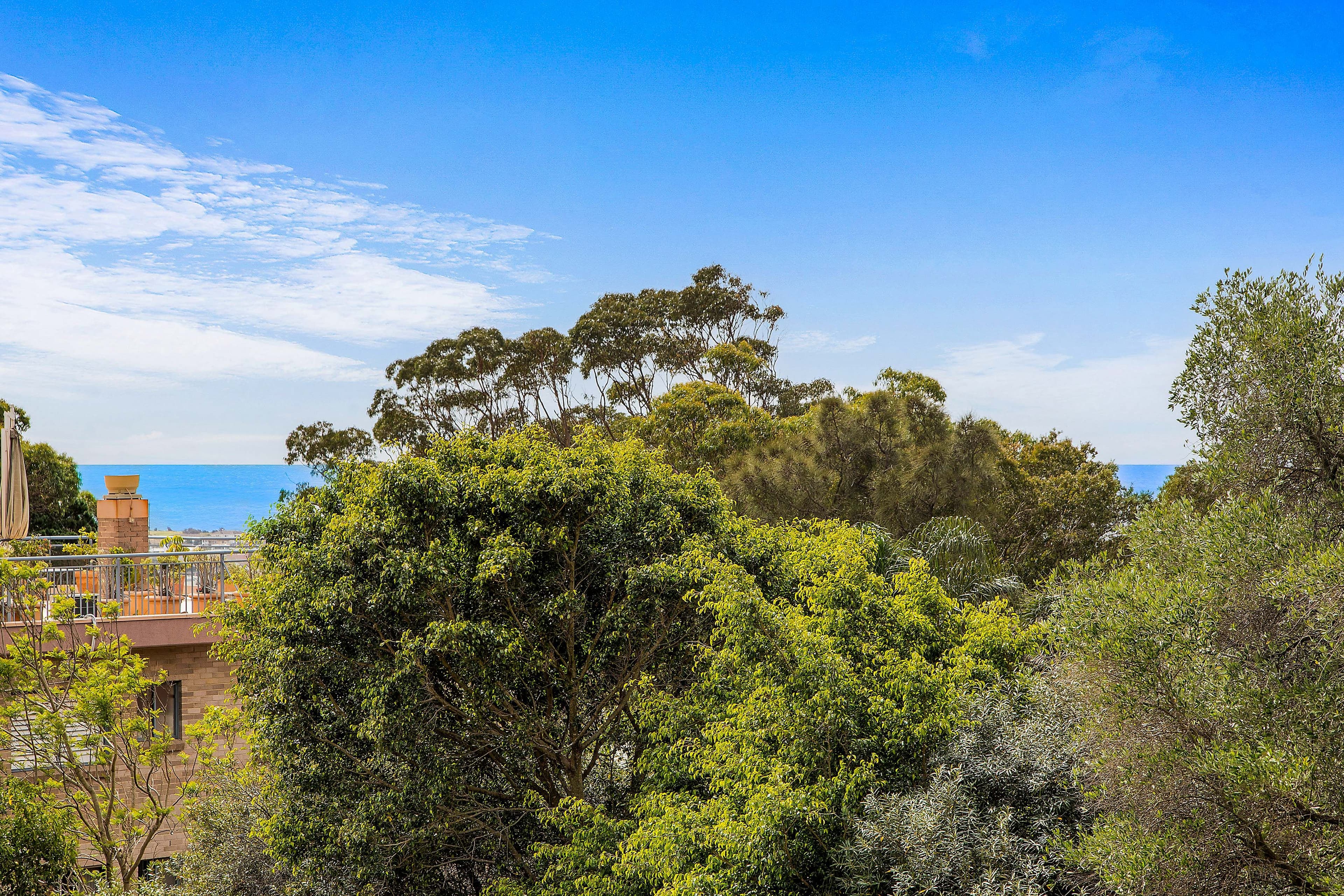 142 Old South Head Road, Bellevue Hill NSW 2023, Bellevue Hill - Thumbnail 8