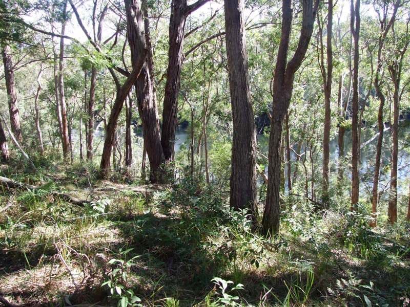 Lot 16 The River Road, BROOMAN NSW 2538, Brooman - Thumbnail 3