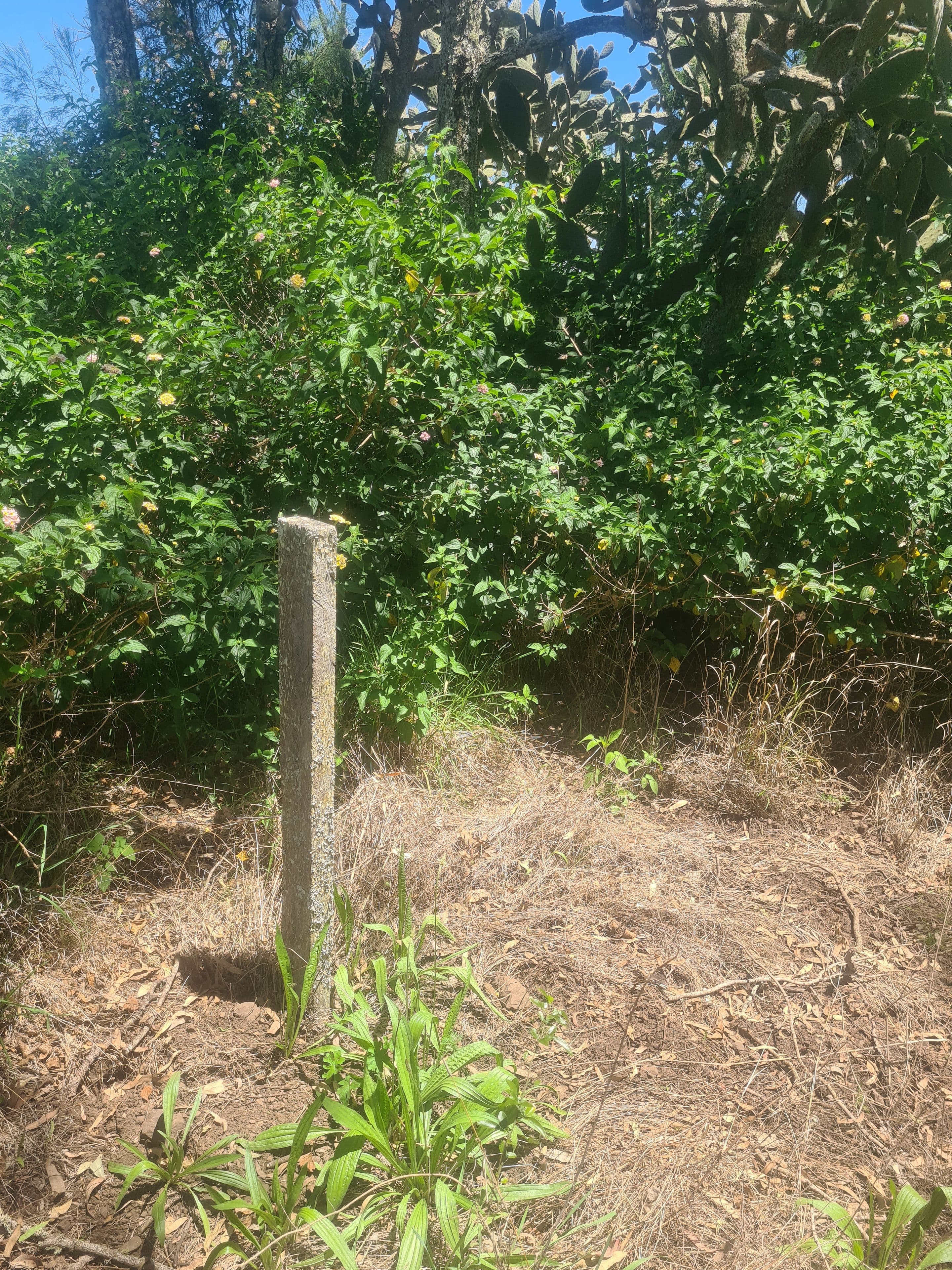 Lot 17 Garrett Street, Haden QLD 4353, Haden - Thumbnail 2