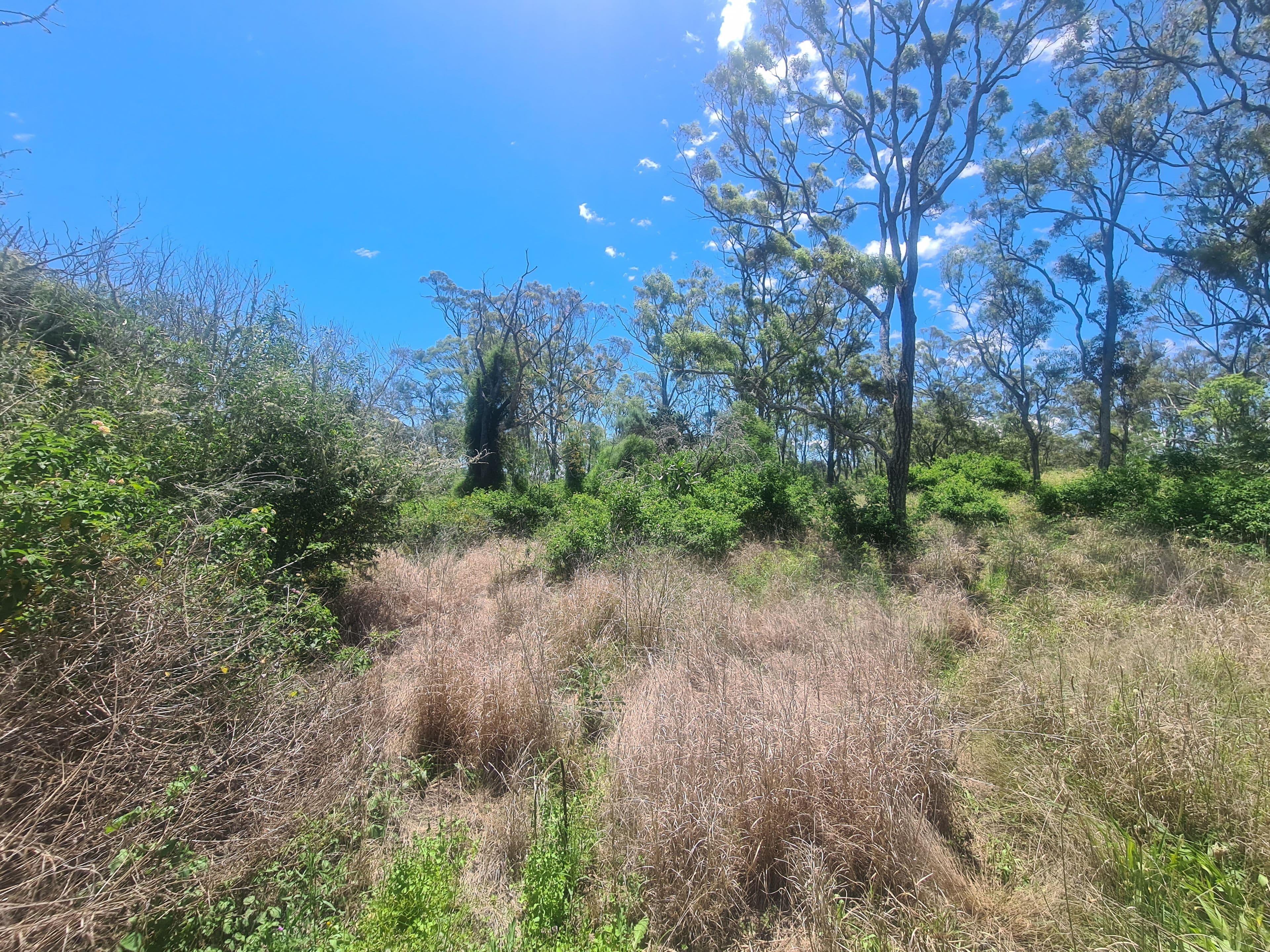 Lot 17 Garrett Street, Haden QLD 4353, Haden - Thumbnail 3