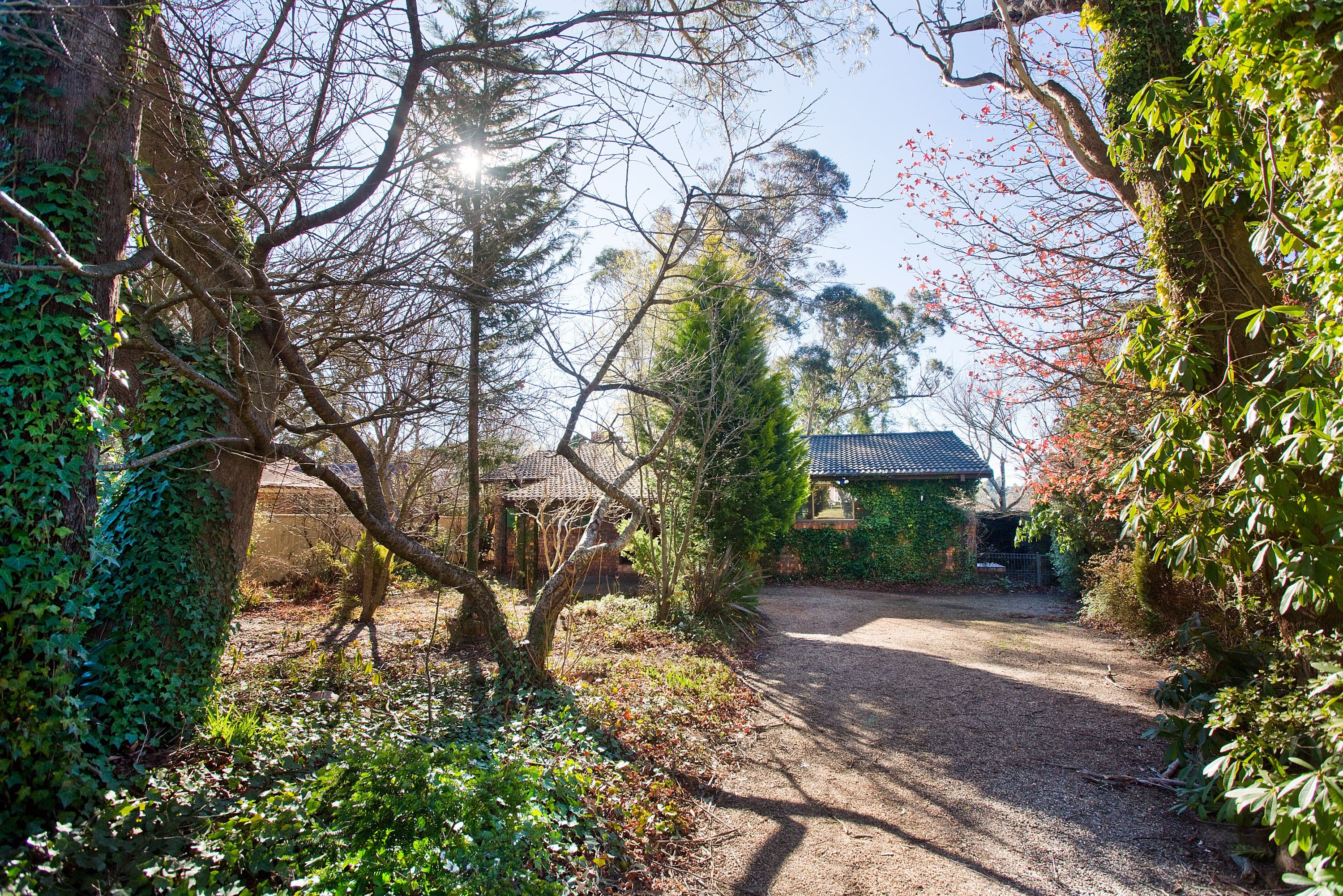 76 Evans Lookout Road, Blackheath - Image 1