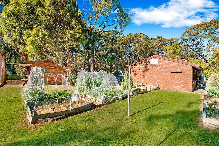1A Bottle Forest Road, HEATHCOTE NSW 2233, Heathcote - Thumbnail 7