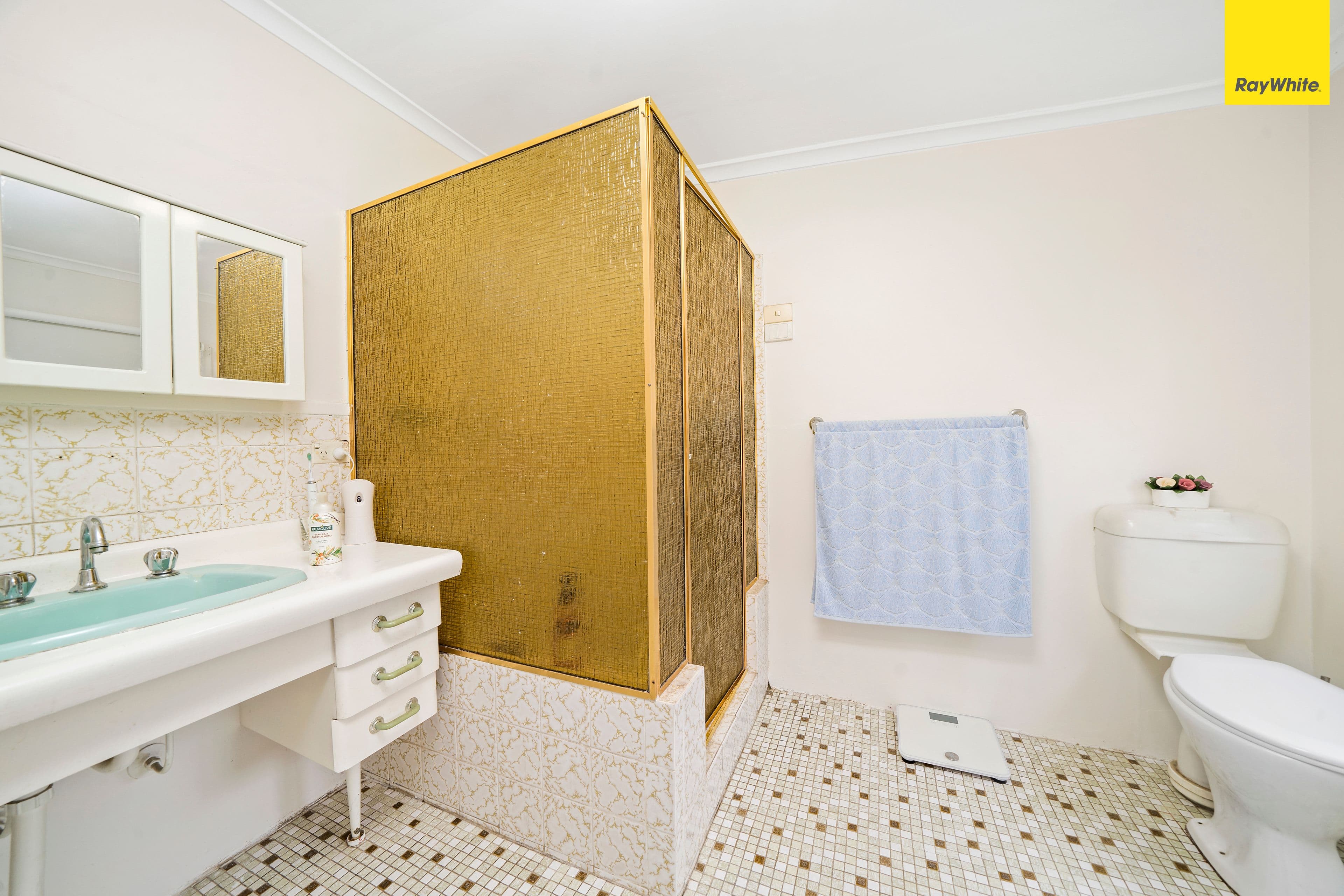 59 Ninth Avenue, Campsie NSW 2194, Campsie - Thumbnail 7