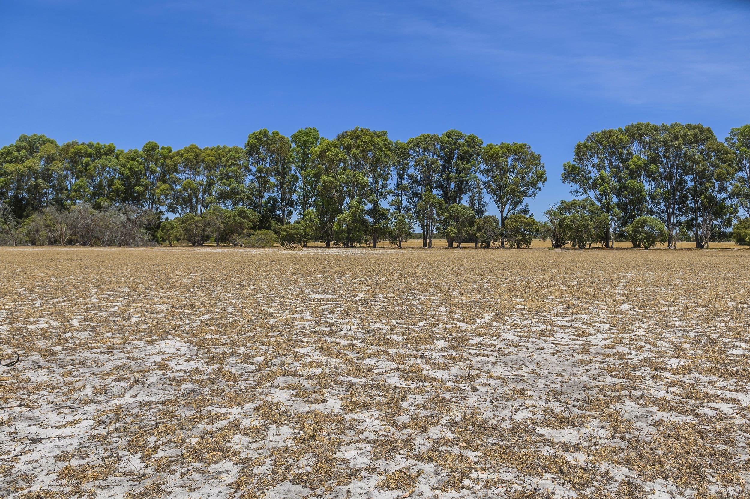 539 Warbrook Road, Bullsbrook WA 6084, Bullsbrook - Thumbnail 5