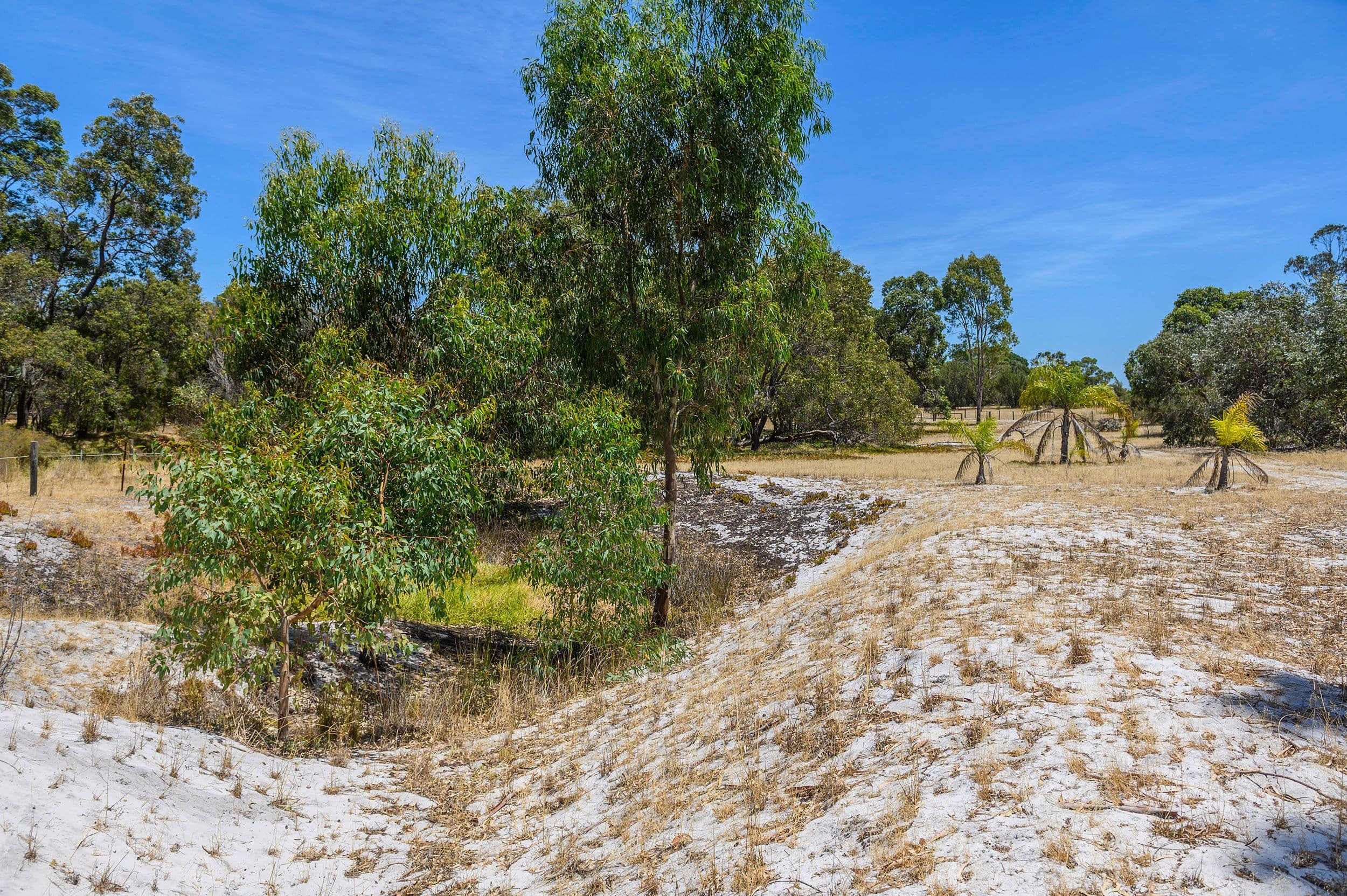 539 Warbrook Road, Bullsbrook WA 6084, Bullsbrook - Thumbnail 6