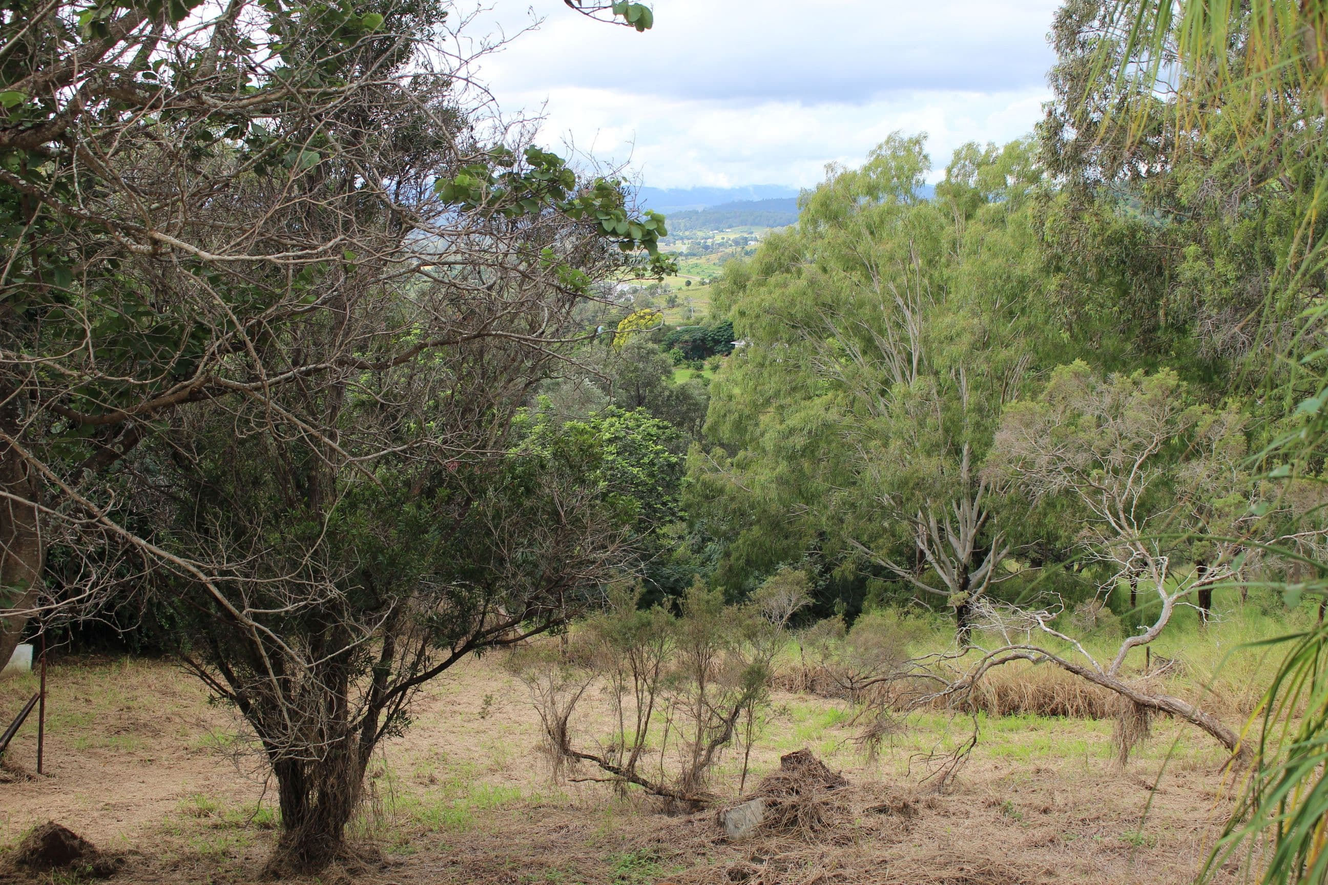 6 Acacia Street, Lowood QLD 4311, Lowood - Thumbnail 8