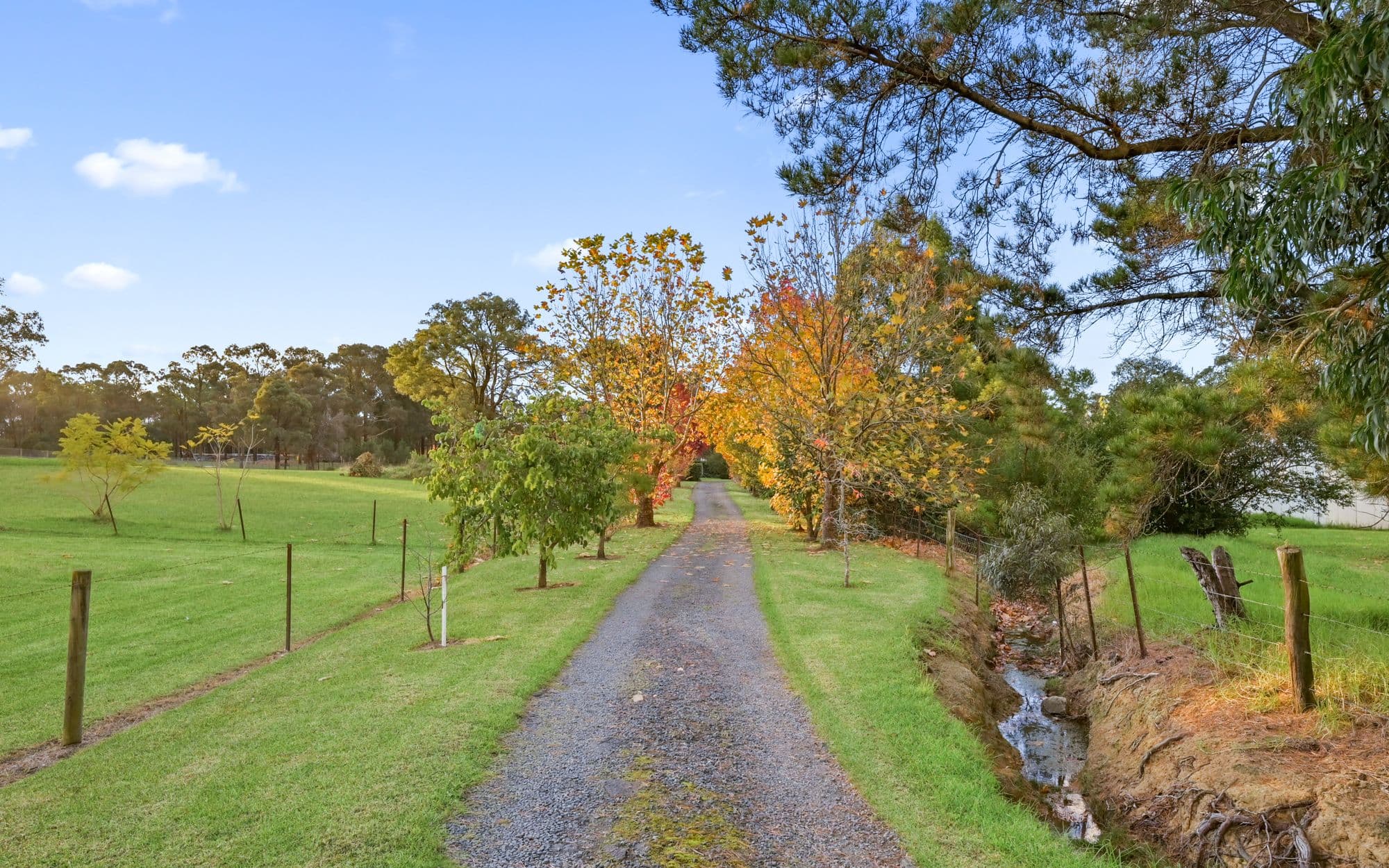 73 Reservoir Road, Bargo NSW 2574, Bargo - Thumbnail 4