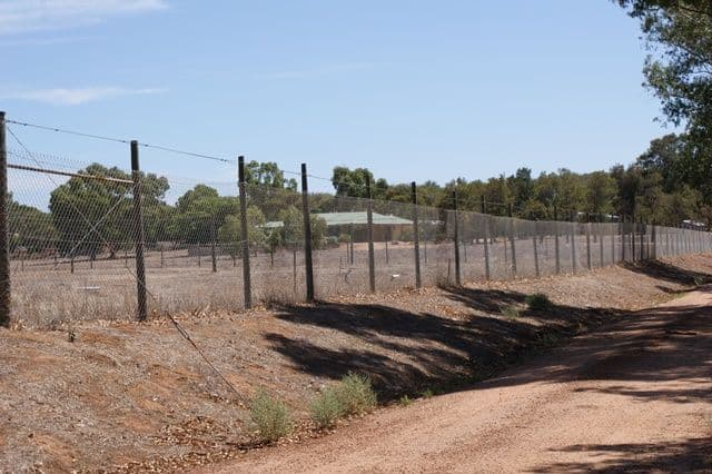 25 Midlands Road Irwin, DONGARA WA 6525, Dongara - Thumbnail 4