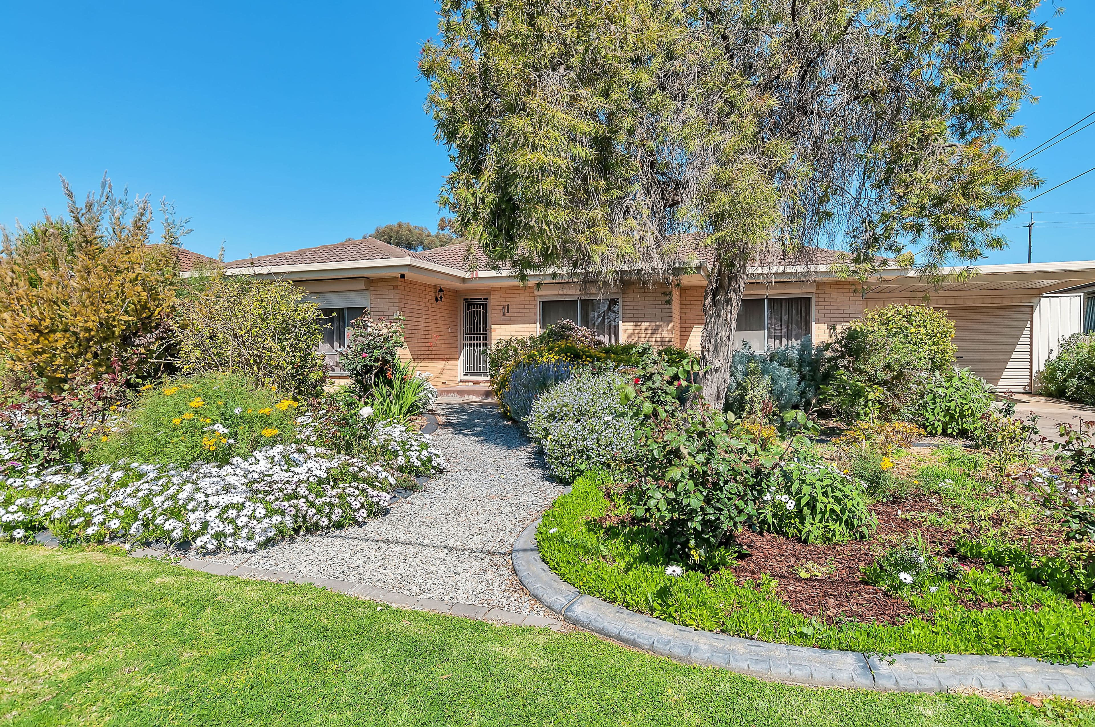 11 College Avenue, Valley View SA 5093, Valley View - Image 1