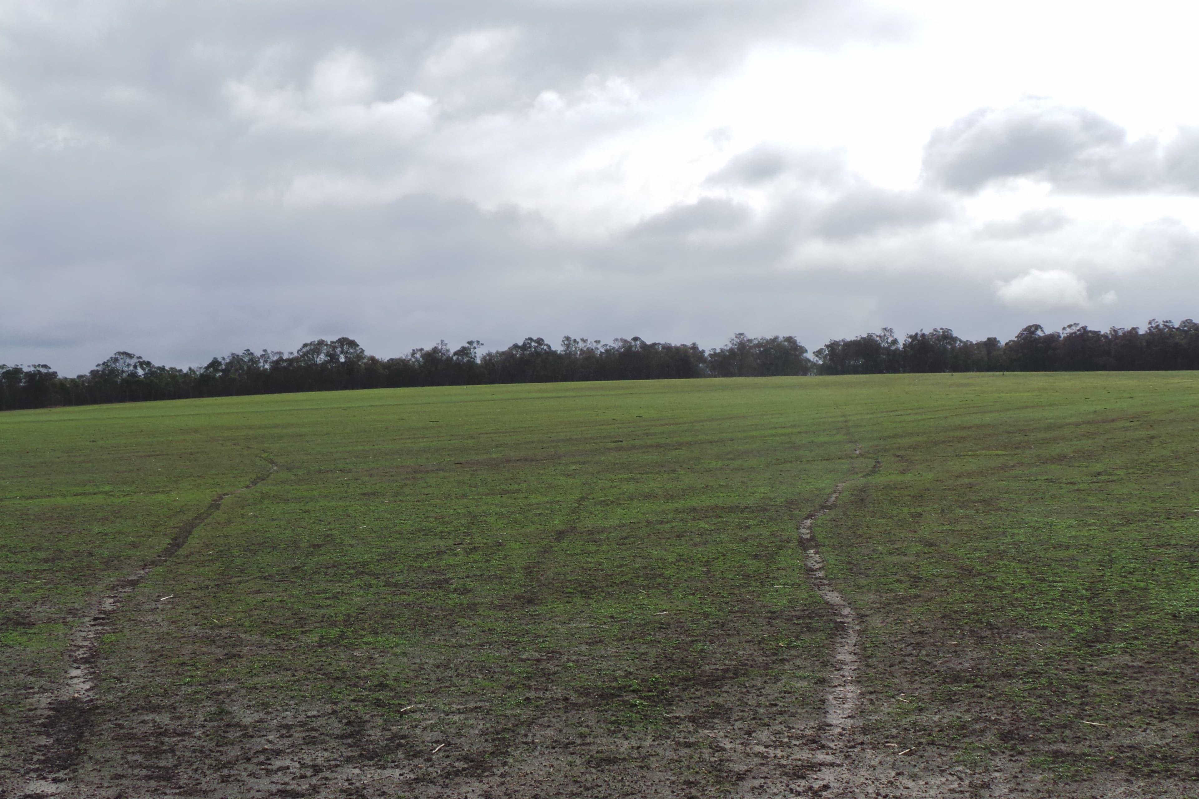 Lot 3 Wragg Road, Mount Barker WA 6324, Mount Barker - Thumbnail 2