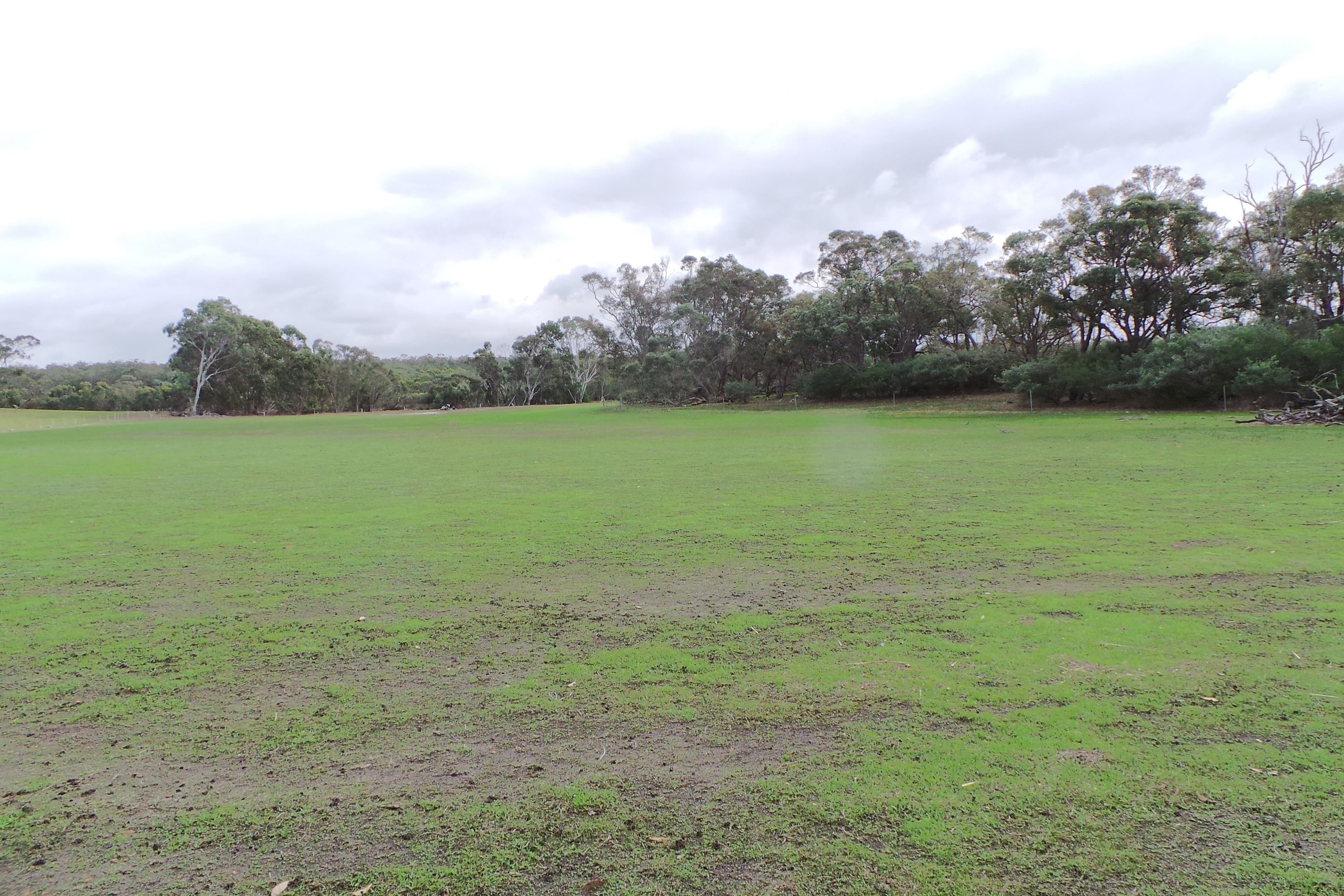 Lot 3 Wragg Road, Mount Barker WA 6324, Mount Barker - Thumbnail 5
