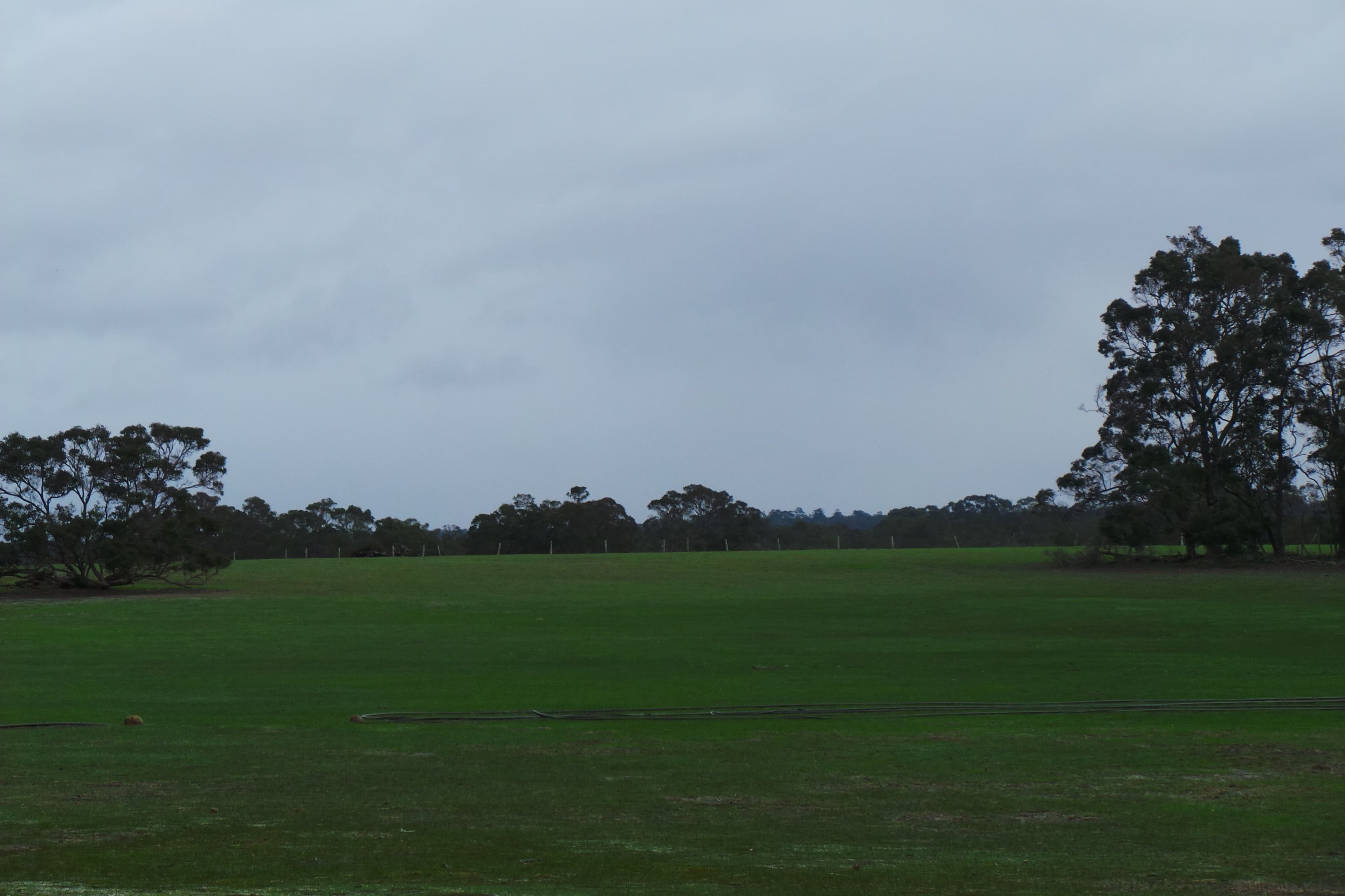 Lot 3 Wragg Road, Mount Barker WA 6324, Mount Barker - Thumbnail 7