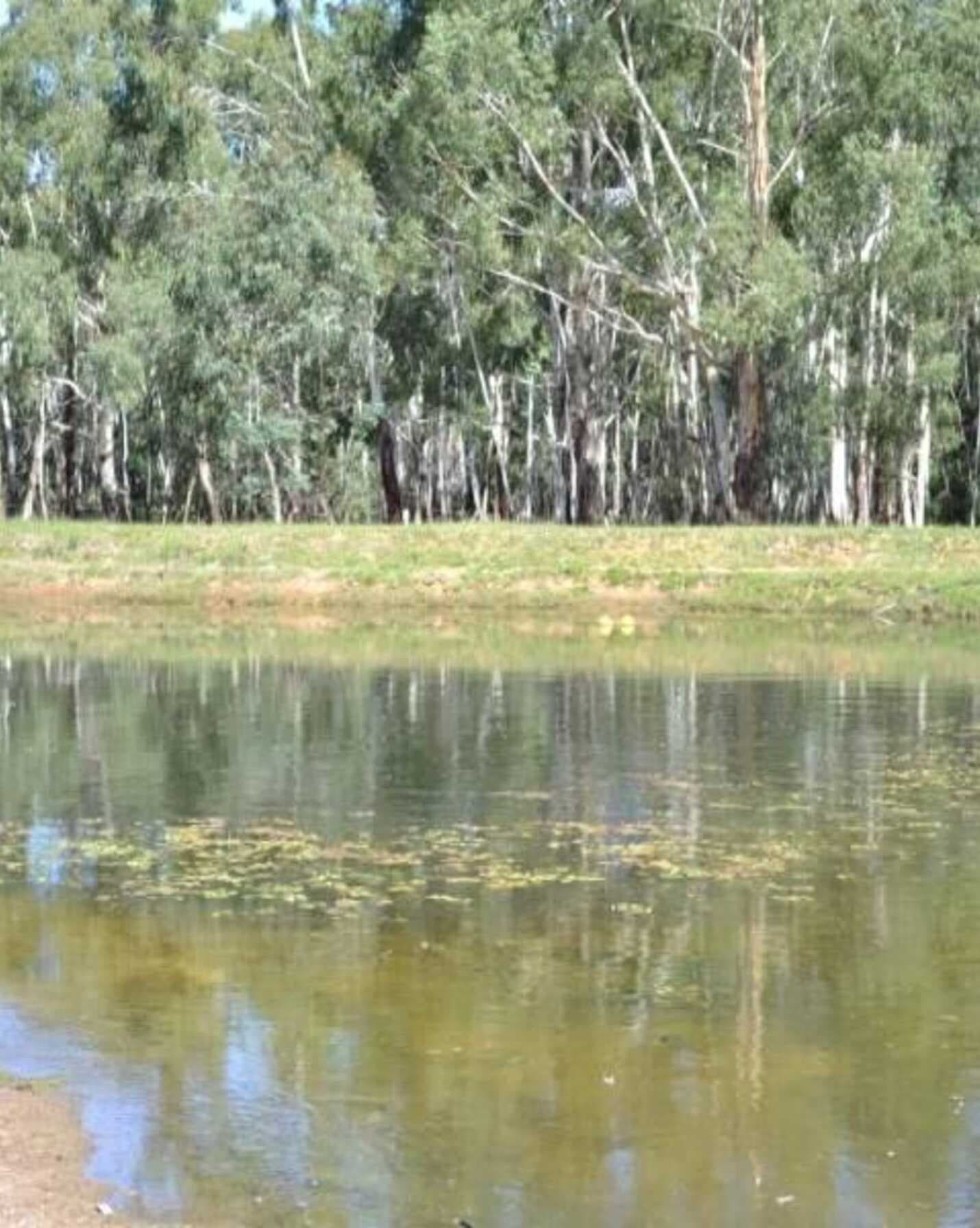 Lot 112 Bedford Street Bungonia, Bungonia - Thumbnail 6