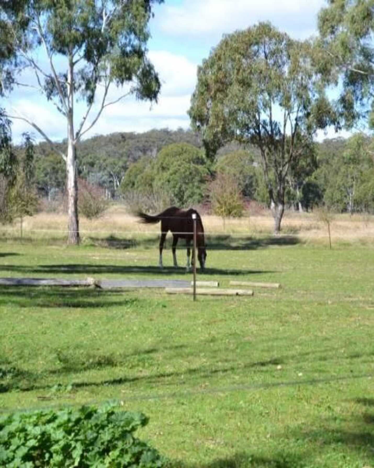 Lot 112 Bedford Street Bungonia, Bungonia - Thumbnail 7