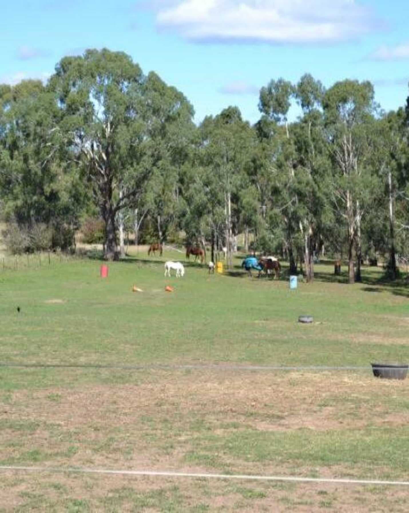 Lot 112 Bedford Street Bungonia, Bungonia - Thumbnail 8