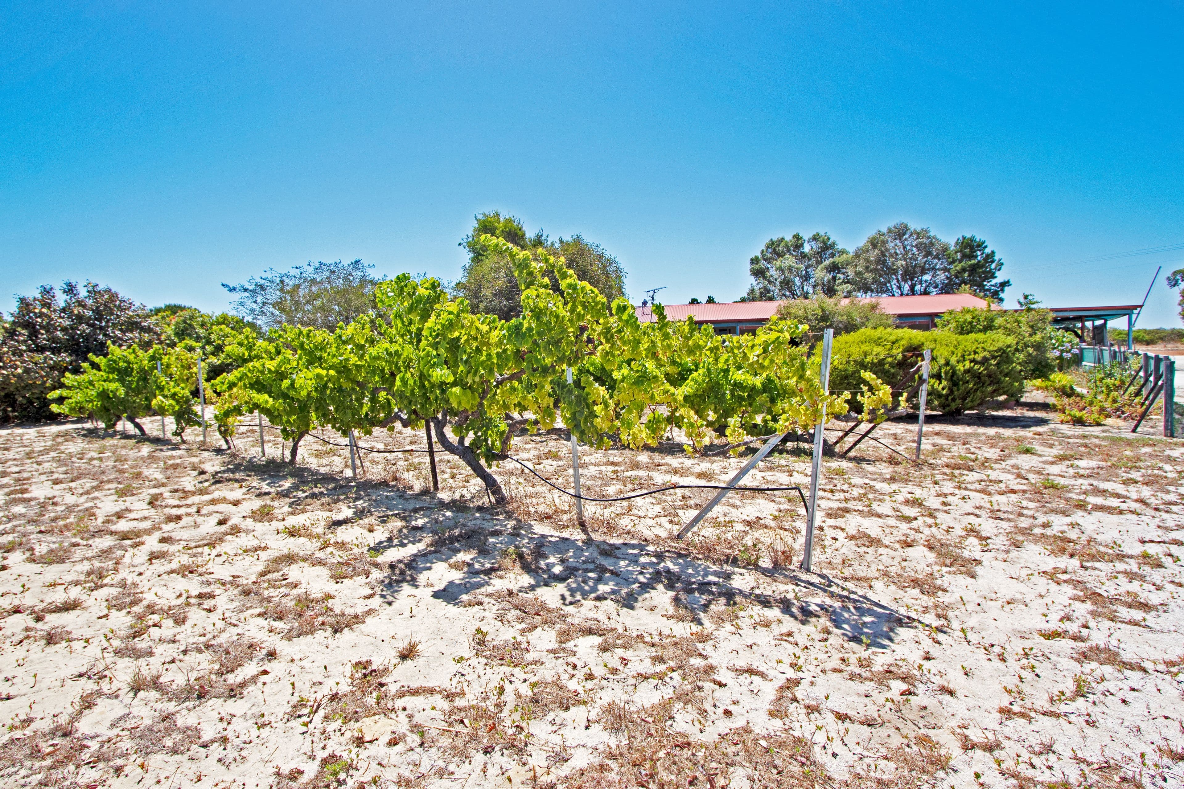 214 Geronimo Cresent, Jurien Bay WA 6516, Jurien Bay - Thumbnail 4