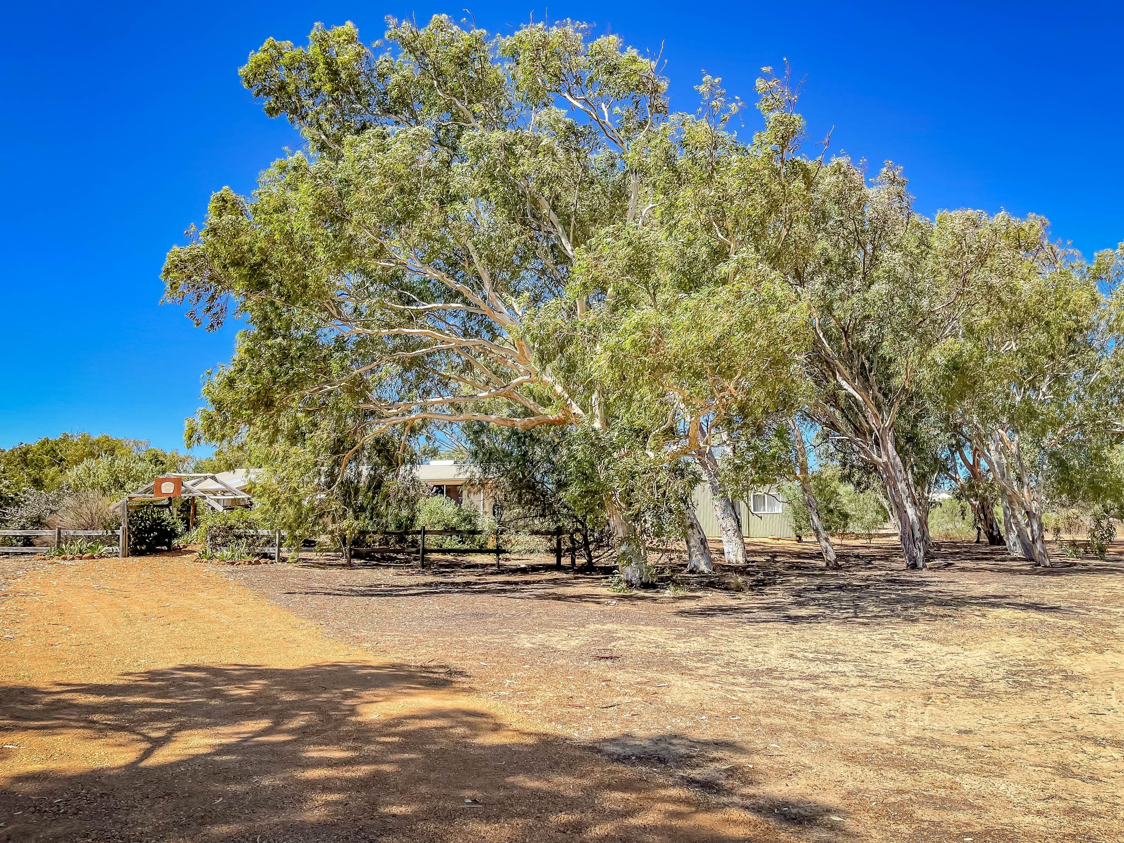 3 Stuart Road, Moresby WA 6530, Moresby - Thumbnail 2