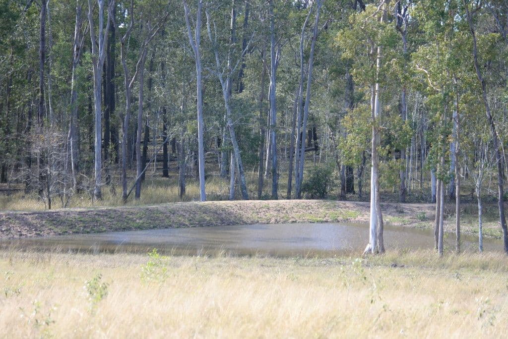 52 Ellem Lane, The Whiteman NSW 2460, The Whiteman - Thumbnail 3