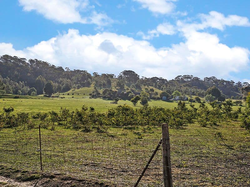 235 Durdidwarrah Road, ANAKIE VIC 3213, Anakie - Thumbnail 7