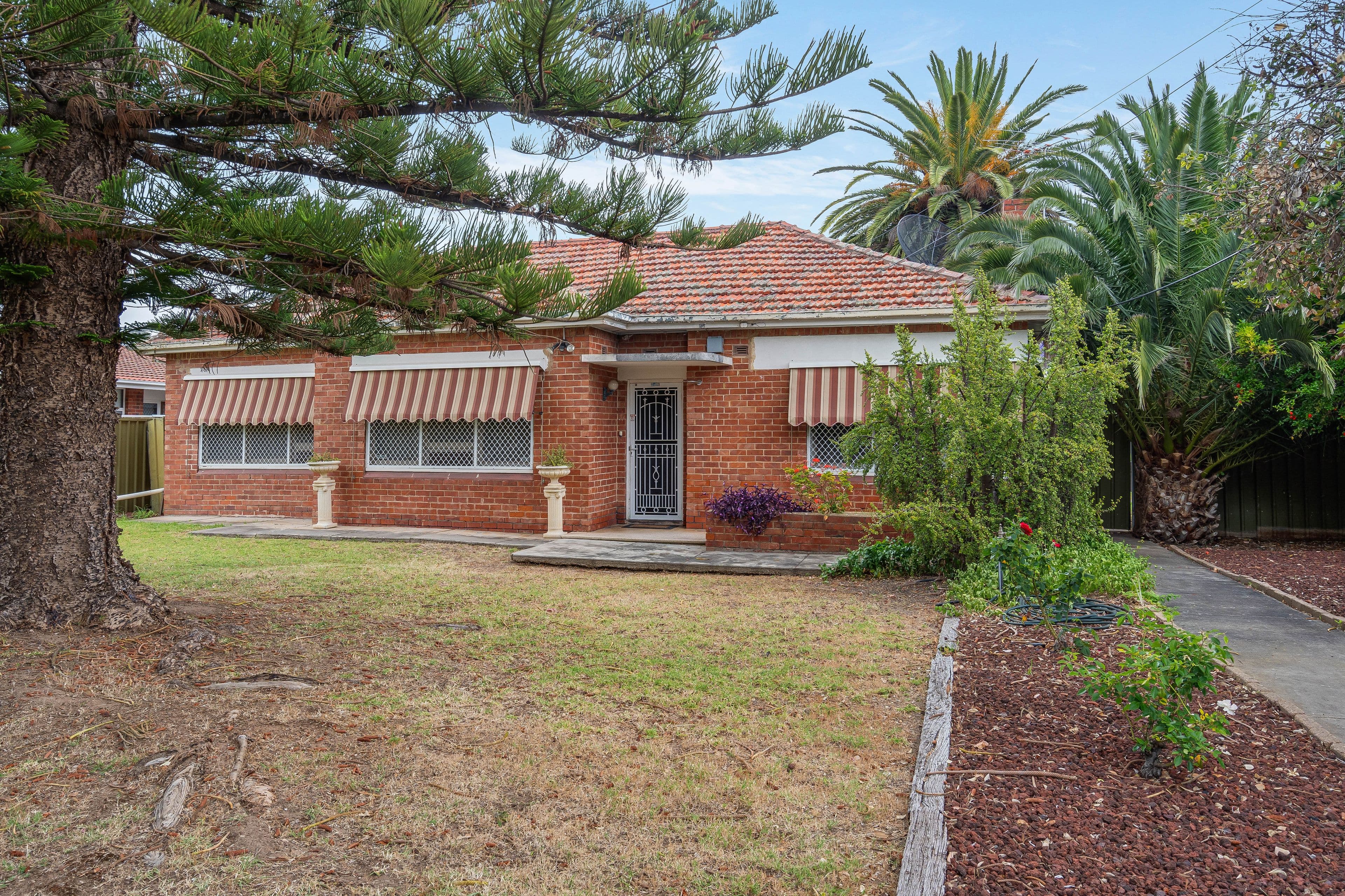 47 Harvey Street, Collinswood SA 5081, Collinswood - Thumbnail 7