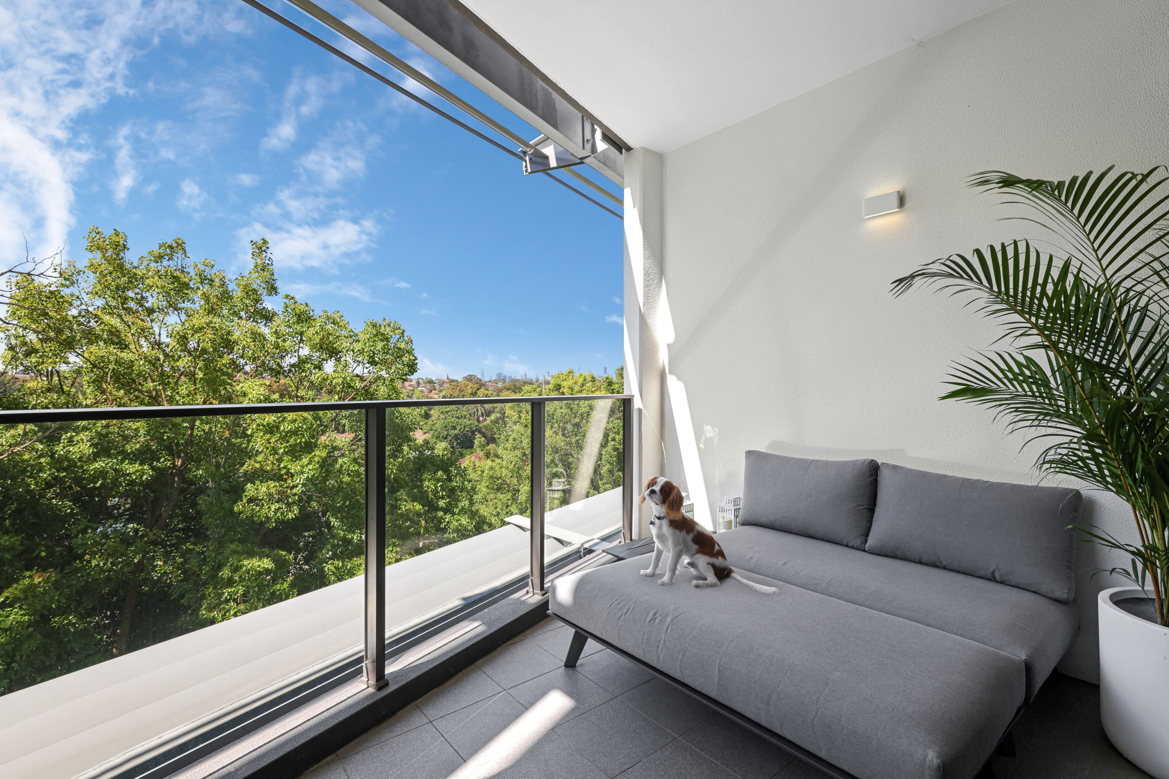 178 Livingstone Road, Marrickville NSW 2204, Marrickville - Thumbnail 3