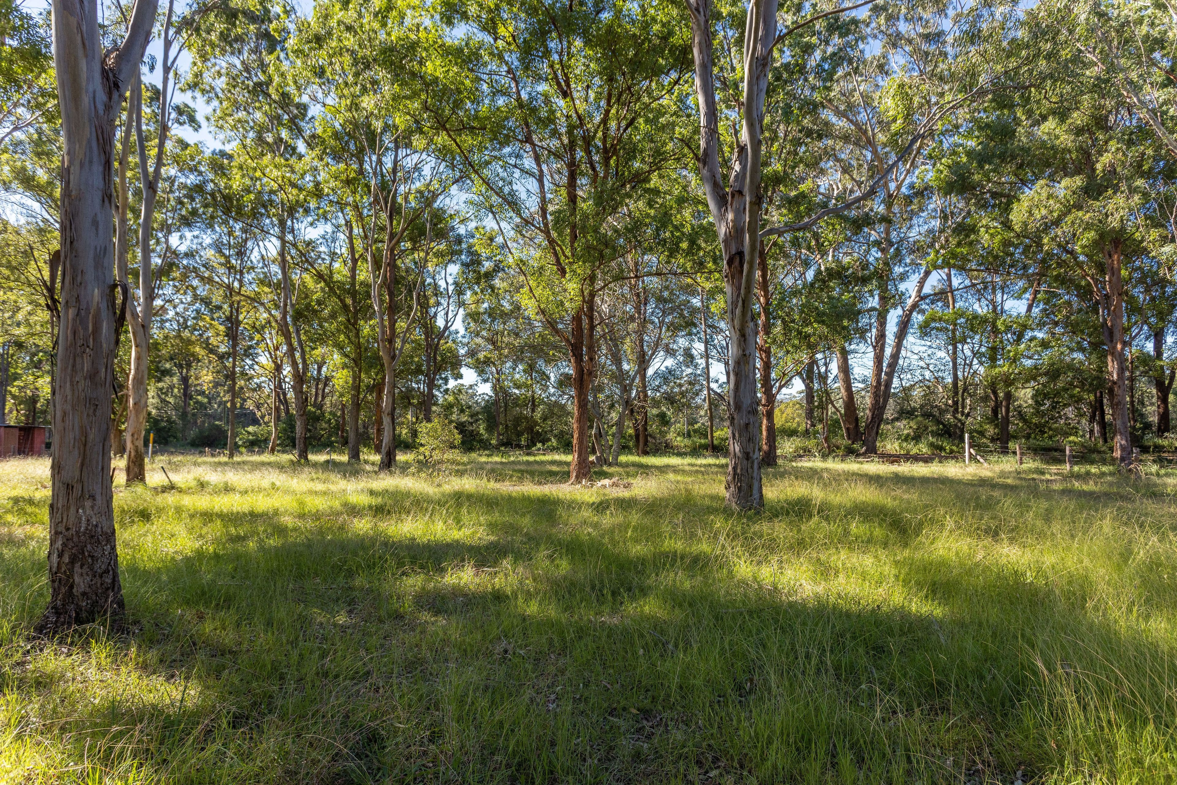 19B (Lot 12) Aquatic Road, Darawank NSW 2428, Darawank - Image 1