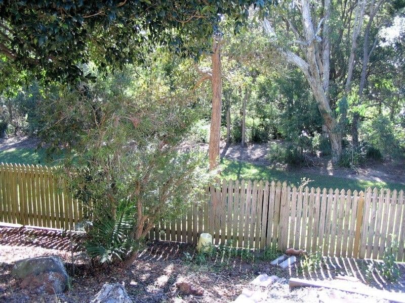 54 Glover Drive, ALEXANDRA HILLS QLD 4161, Alexandra Hills - Thumbnail 8