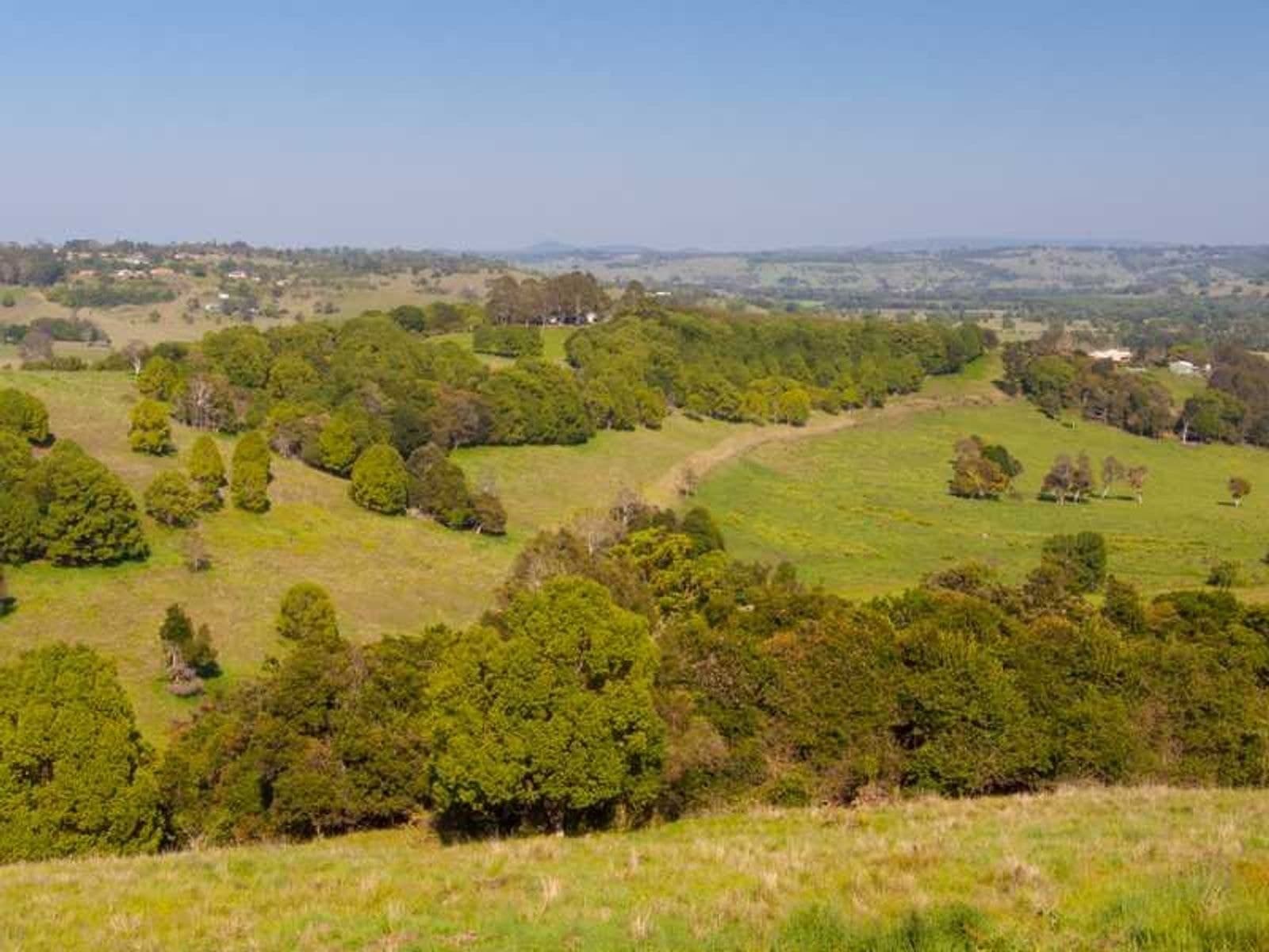 27 Paradise Court, McLeans Ridges - Thumbnail 6