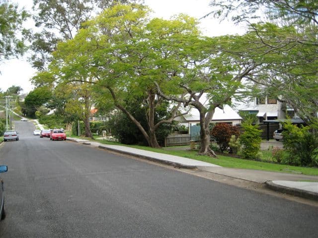 67 Gladstone Street, INDOOROOPILLY QLD 4068, Indooroopilly - Thumbnail 4