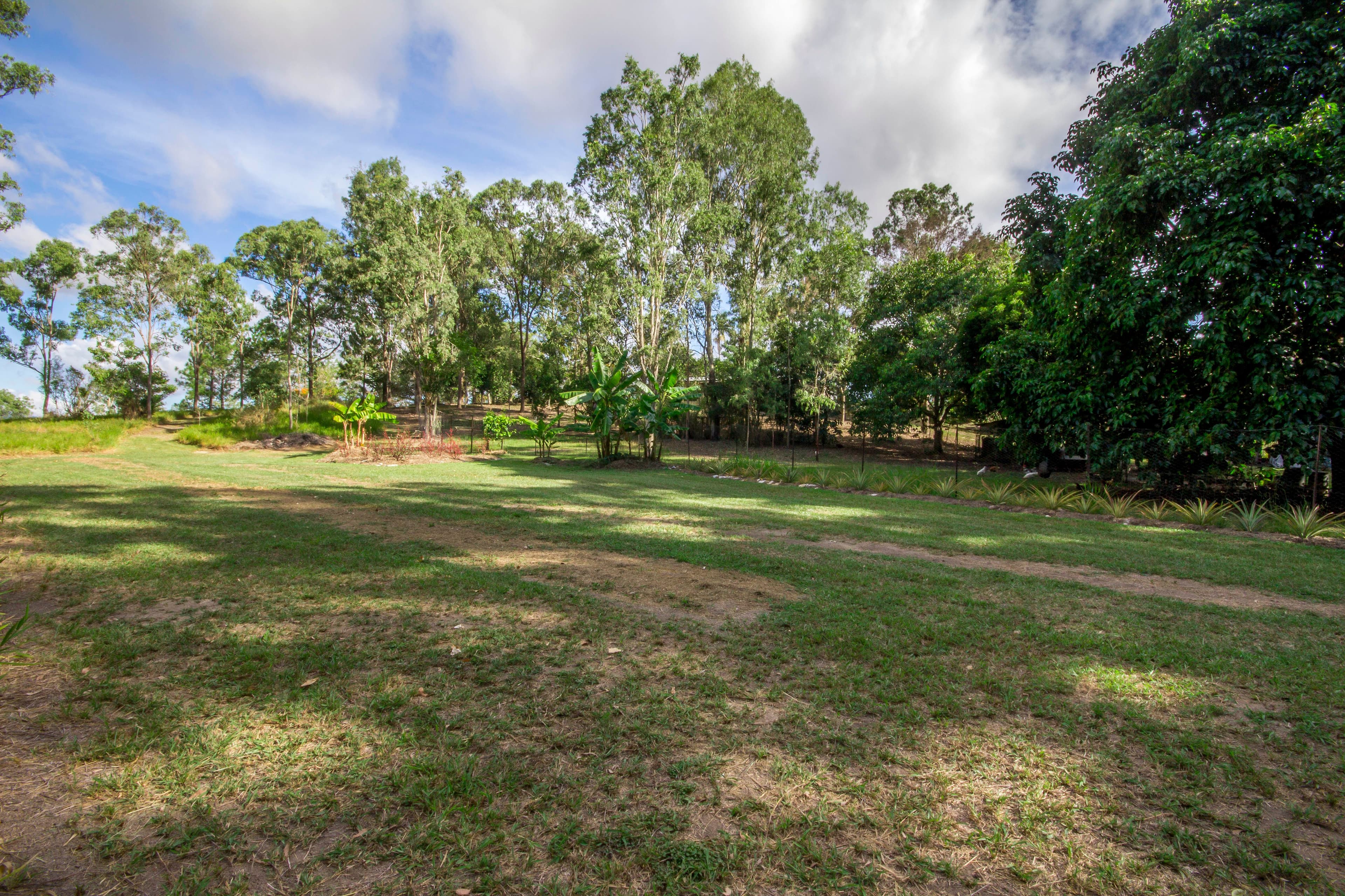 30 Jim Weir Road, Julatten QLD 4871, Julatten - Thumbnail 5