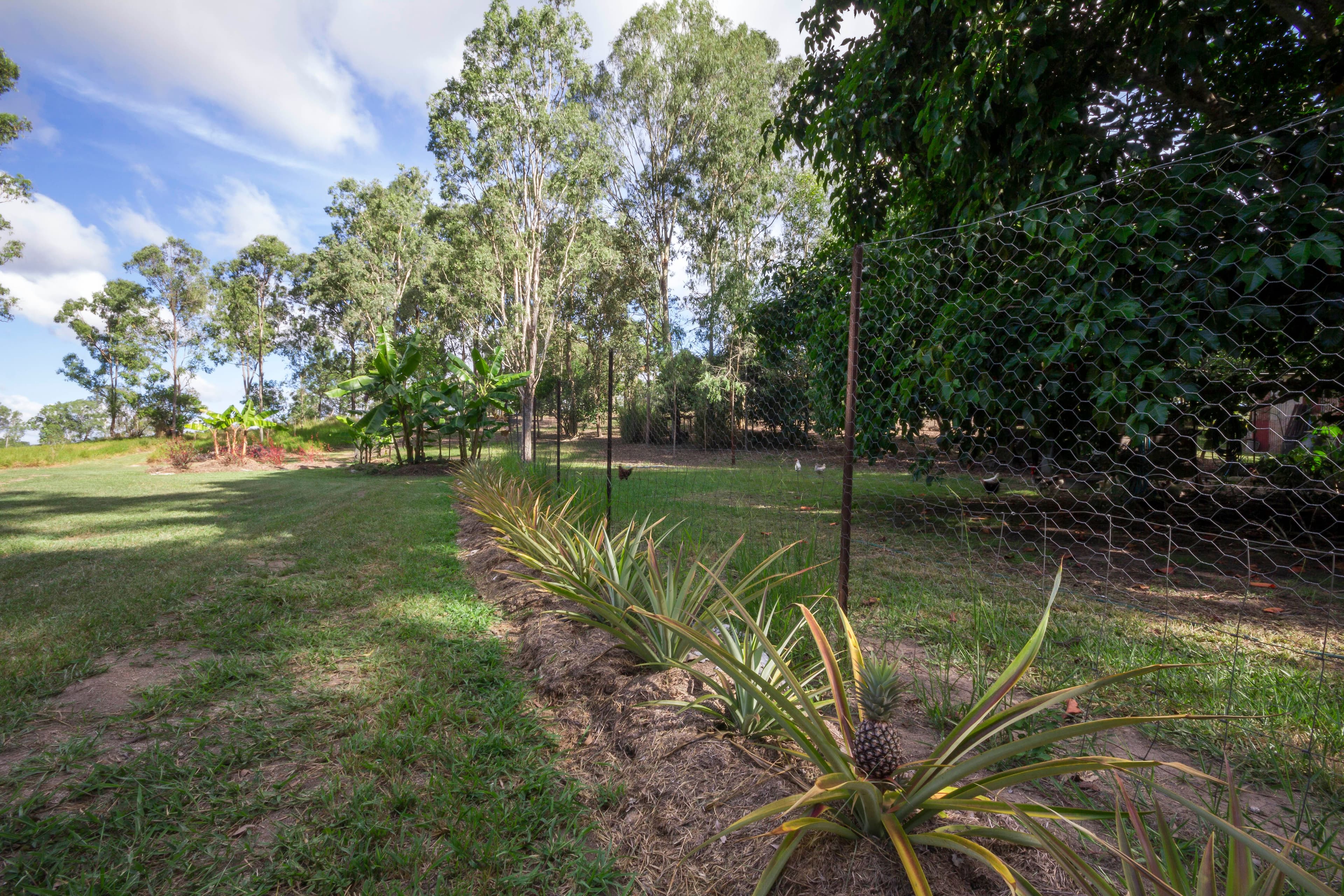 30 Jim Weir Road, Julatten QLD 4871, Julatten - Thumbnail 6