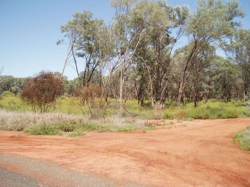 4 Murweh Drive, CHARLEVILLE QLD 4470, Charleville - Image 1