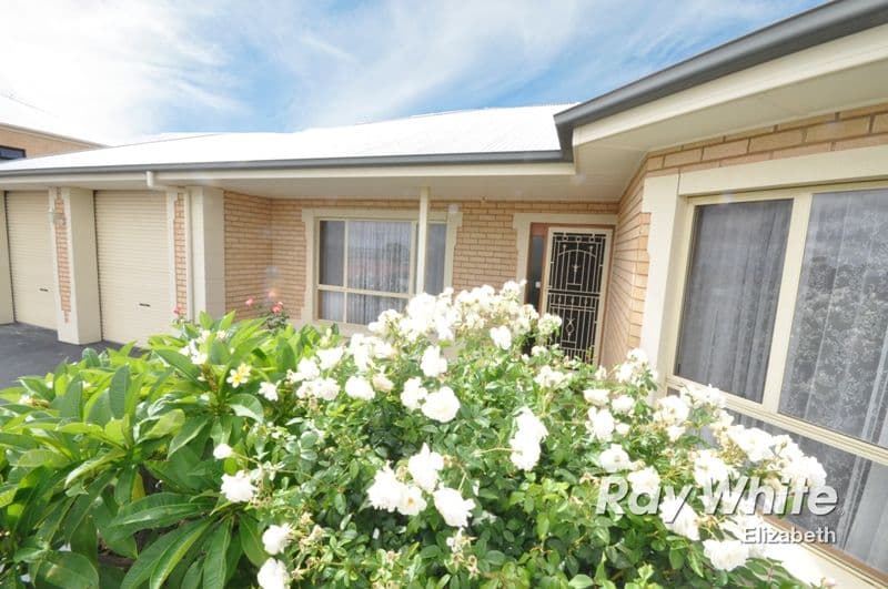 17. Grandview Place, BLAKEVIEW SA 5114, Blakeview - Thumbnail 4