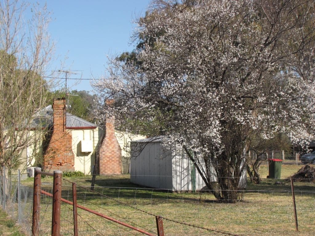 8 Fortune Street, Wallabadah - Thumbnail 3