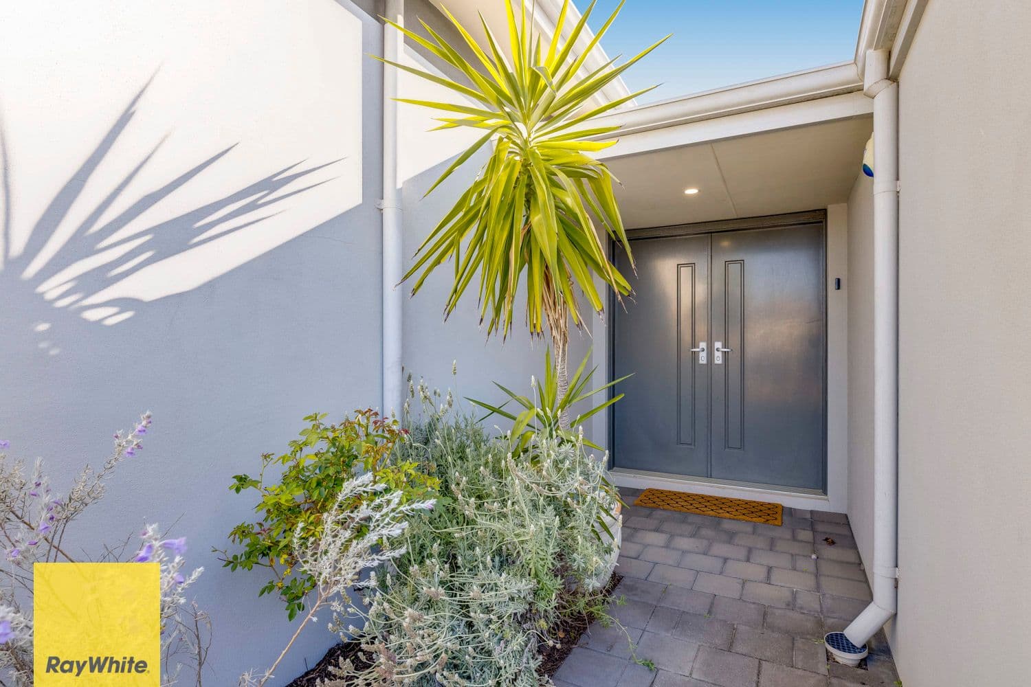 14 Astrolux Court, Banksia Grove WA 6031, Banksia Grove - Thumbnail 5