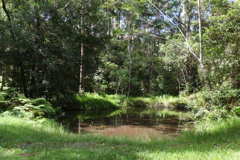 182 Eudlo Flats Road, DIDDILLIBAH QLD 4559, Diddillibah - Thumbnail 8