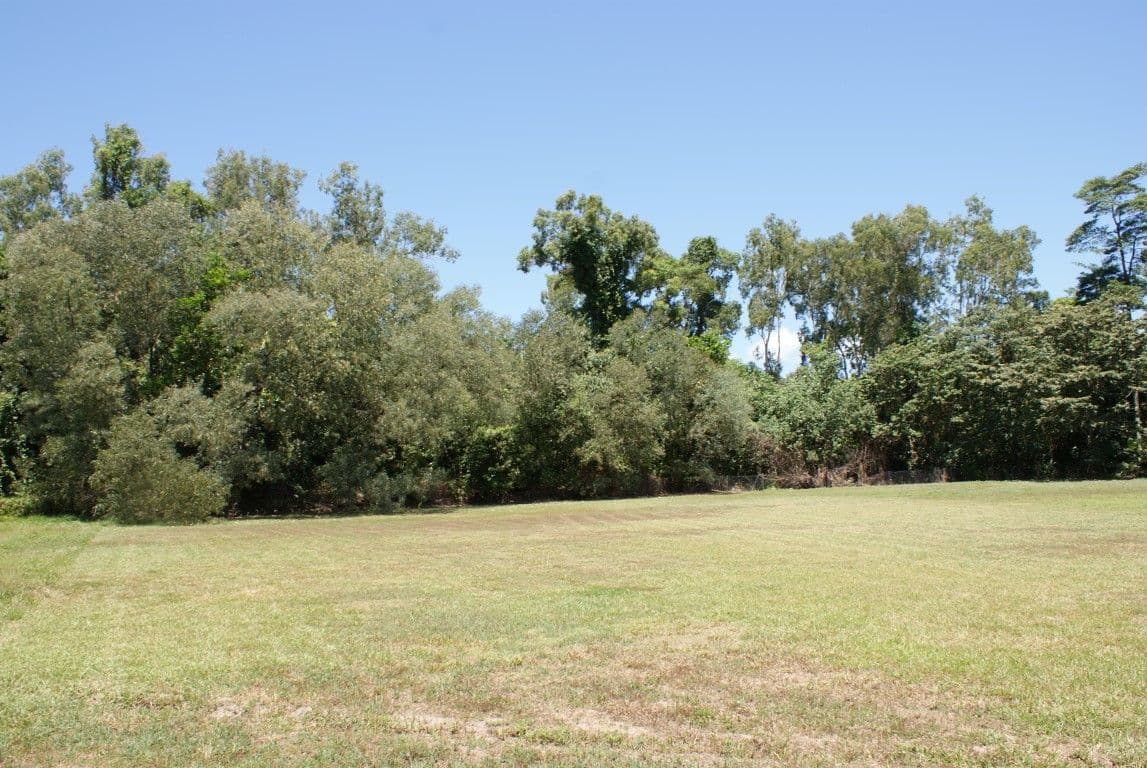 44 Sanctuary Crescent, Wongaling Beach QLD 4852, Wongaling Beach - Thumbnail 2