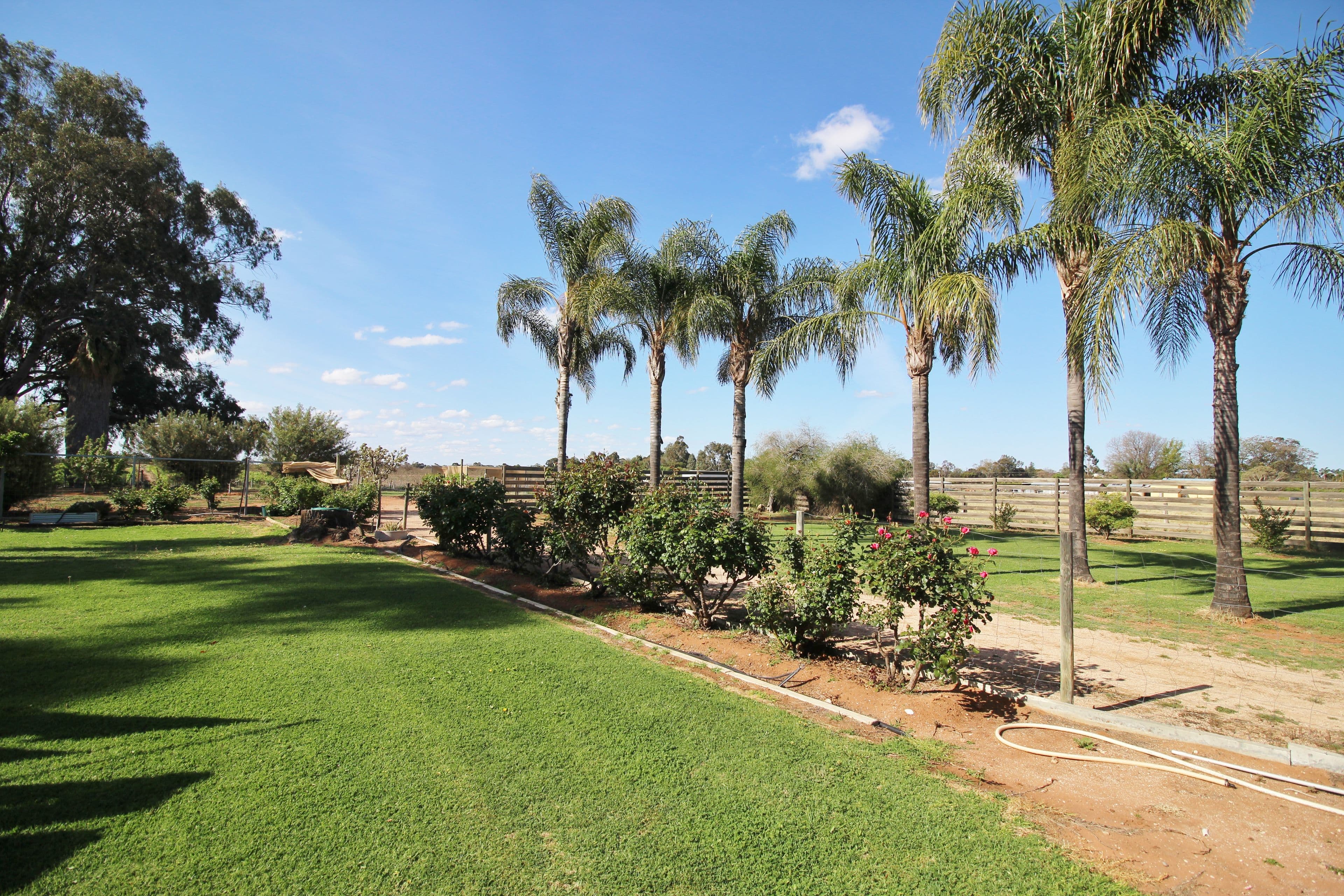 42 Etiwanda Street, Renmark SA 5341, Renmark West - Thumbnail 7