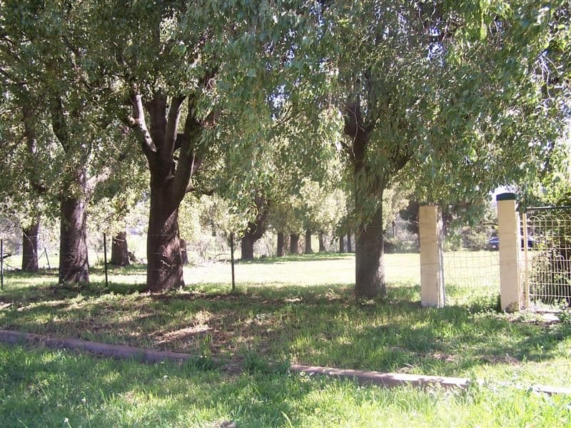 21 Ford Street, WELLINGTON NSW 2820, Wellington - Thumbnail 2