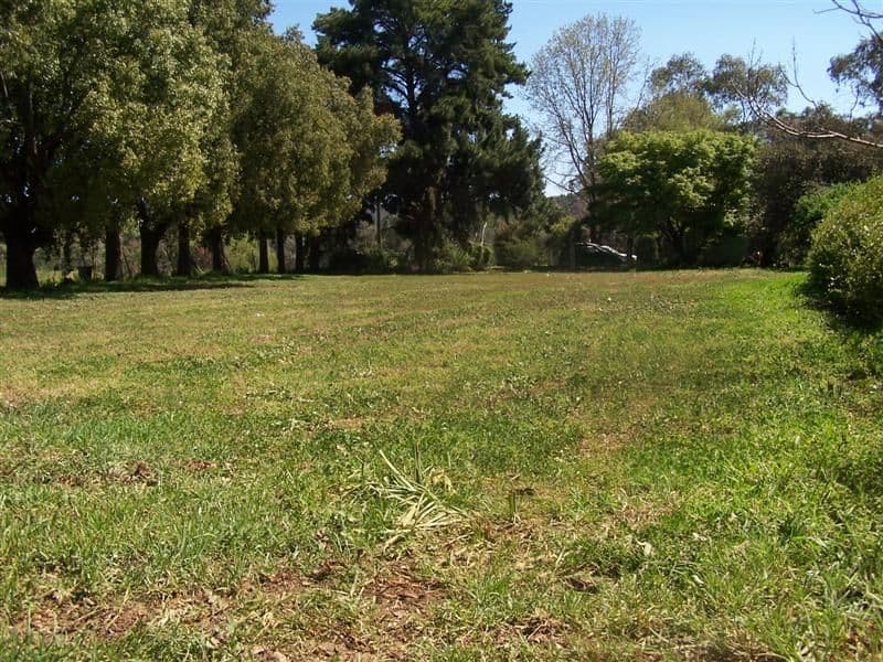 21 Ford Street, WELLINGTON NSW 2820, Wellington - Thumbnail 3