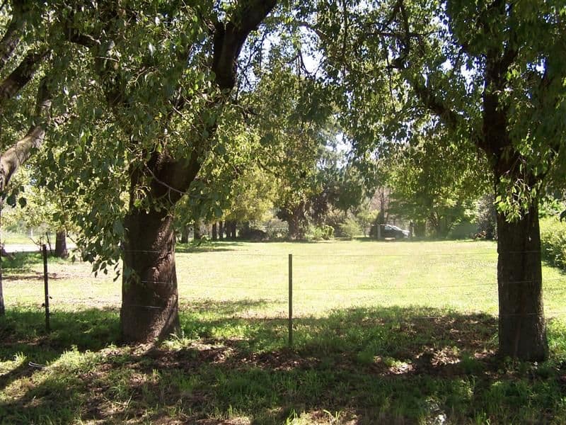 21 Ford Street, WELLINGTON NSW 2820, Wellington - Thumbnail 4