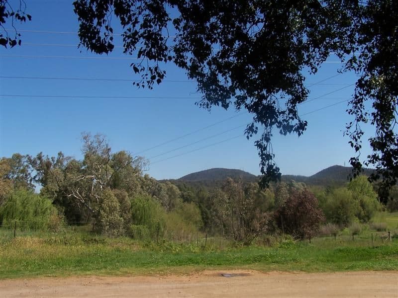 21 Ford Street, WELLINGTON NSW 2820, Wellington - Thumbnail 5