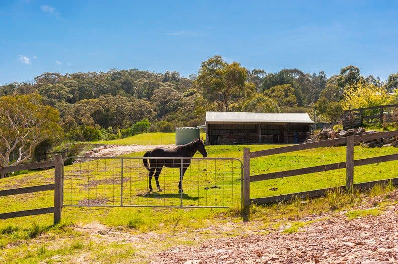 26 Wyatt Avenue, BELROSE NSW 2085, Belrose - Thumbnail 7