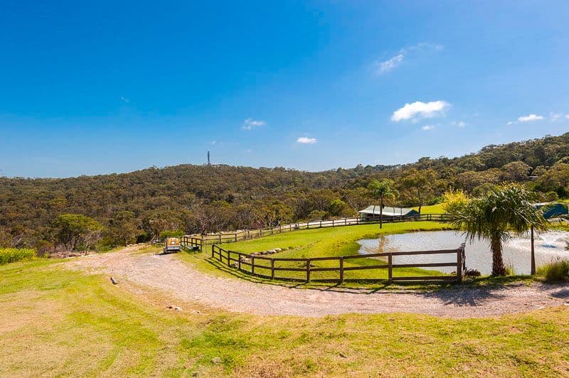 26 Wyatt Avenue, BELROSE NSW 2085, Belrose - Thumbnail 8
