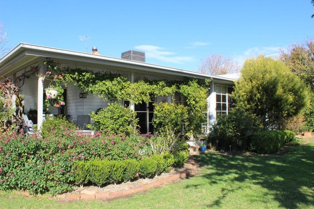 25 Airstrip Road, Bingara NSW 2404, Bingara - Thumbnail 4