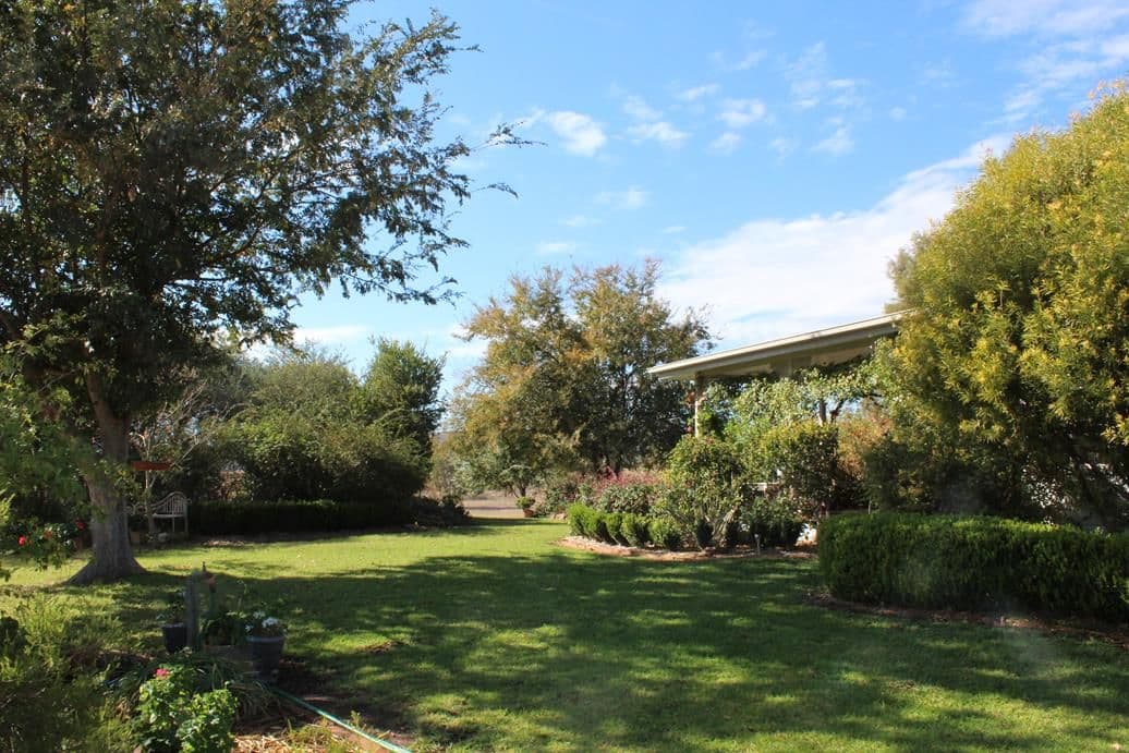 25 Airstrip Road, Bingara NSW 2404, Bingara - Thumbnail 5