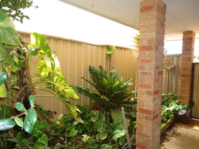 20 Tamblyn Street, SPALDING WA 6530, Spalding - Thumbnail 2